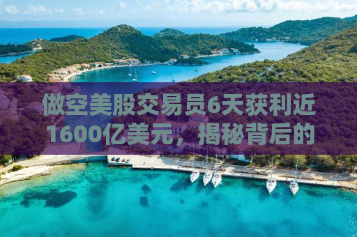 做空美股交易员6天获利近1600亿美元，揭秘背后的策略与风险