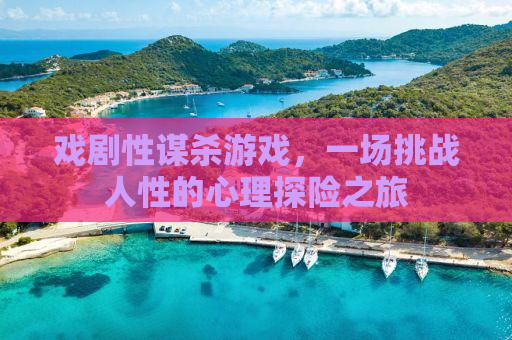 戏剧性谋杀游戏，一场挑战人性的心理探险之旅