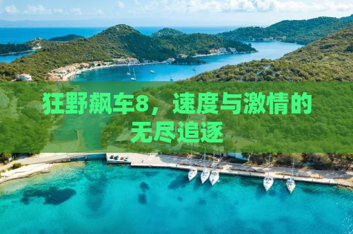 狂野飙车8，速度与激情的无尽追逐