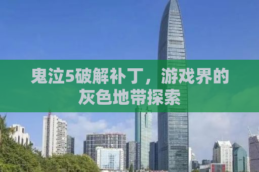 鬼泣5破解补丁，游戏界的灰色地带探索