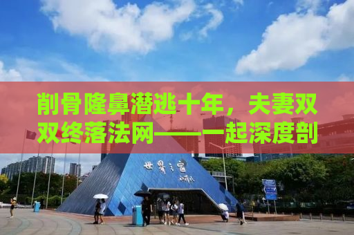削骨隆鼻潜逃十年，夫妻双双终落法网——一起深度剖析整容潜逃案的始末