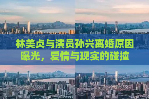 林美贞与演员孙兴离婚原因曝光，爱情与现实的碰撞