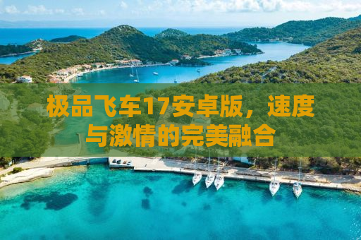 极品飞车17安卓版，速度与激情的完美融合