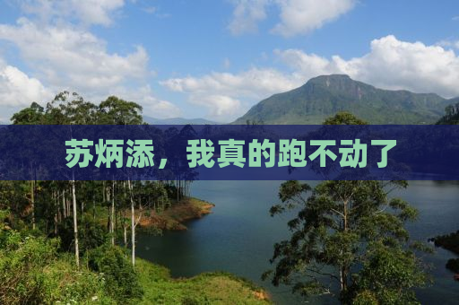 苏炳添，我真的跑不动了