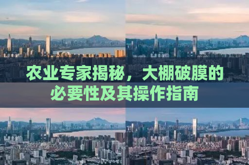 农业专家揭秘，大棚破膜的必要性及其操作指南