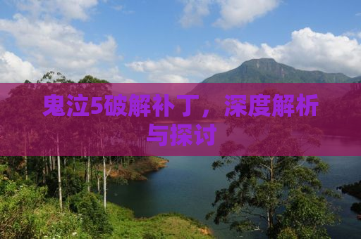 鬼泣5破解补丁，深度解析与探讨