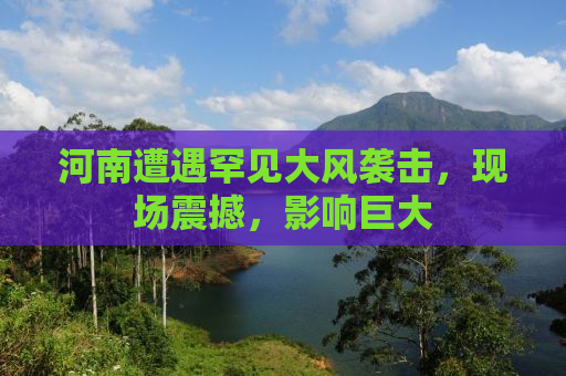 河南遭遇罕见大风袭击，现场震撼，影响巨大