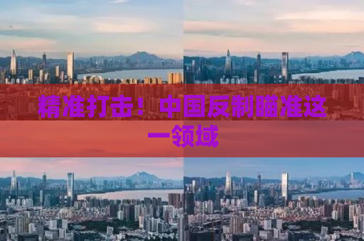 精准打击！中国反制瞄准这一领域
