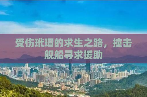 受伤玳瑁的求生之路，撞击舰船寻求援助