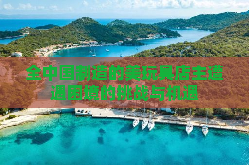 全中国制造的美玩具店主遭遇困境的挑战与机遇