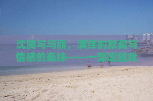 沈腾与马丽，演绎的默契与情感的牵绊——一部超越戏剧的友情故事