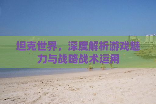 坦克世界，深度解析游戏魅力与战略战术运用