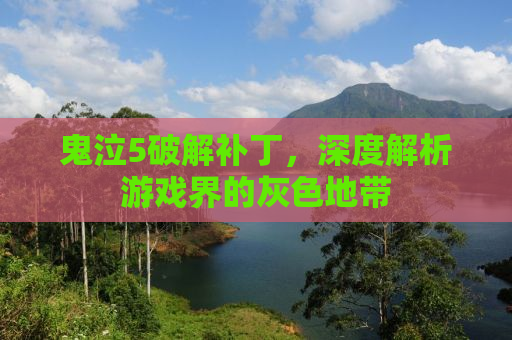 鬼泣5破解补丁，深度解析游戏界的灰色地带