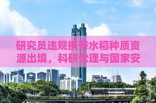 研究员违规携带水稻种质资源出境，科研伦理与国家安全引发深思