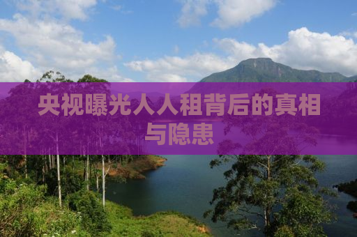 央视曝光人人租背后的真相与隐患
