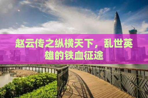 赵云传之纵横天下，乱世英雄的铁血征途