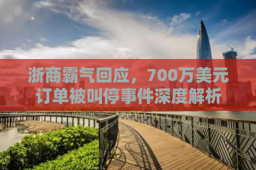 浙商霸气回应，700万美元订单被叫停事件深度解析