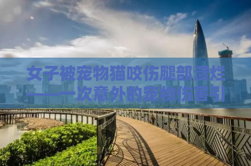 女子被宠物猫咬伤腿部溃烂——一次意外的宠物伤害引发的警示
