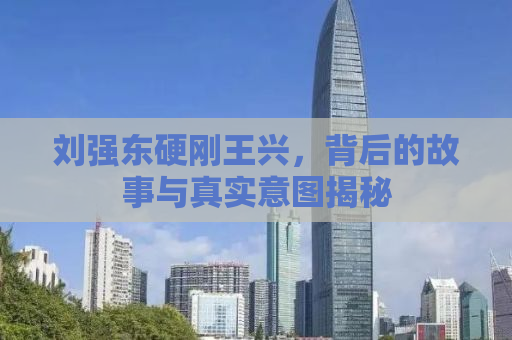 刘强东硬刚王兴，背后的故事与真实意图揭秘