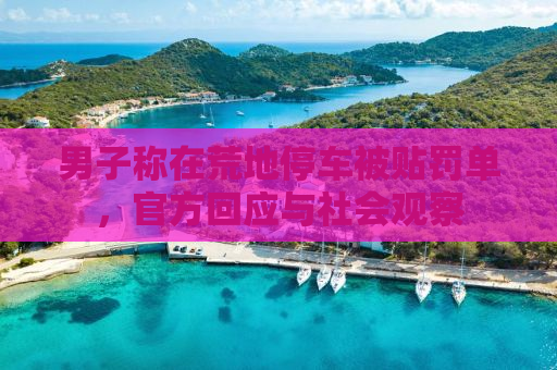 男子称在荒地停车被贴罚单，官方回应与社会观察