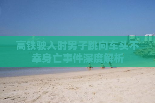 高铁驶入时男子跳向车头不幸身亡事件深度解析