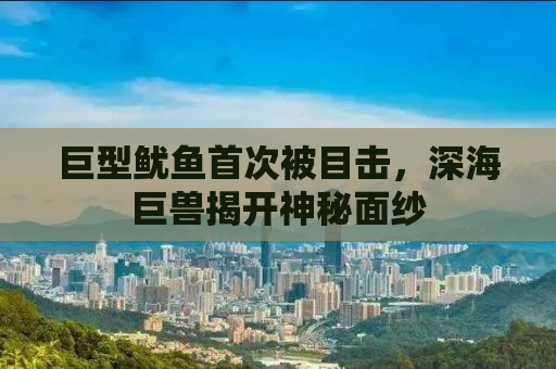 巨型鱿鱼首次被目击，深海巨兽揭开神秘面纱