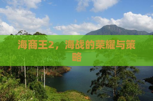 海商王2，海战的荣耀与策略