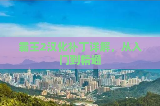 霸王2汉化补丁详解，从入门到精通