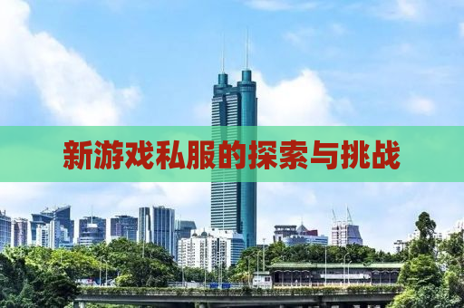 新游戏私服的探索与挑战