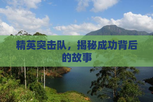 精英突击队，揭秘成功背后的故事