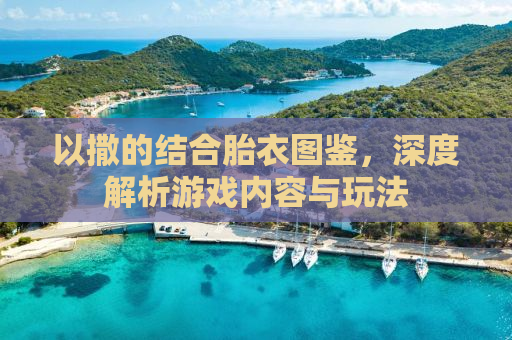 以撒的结合胎衣图鉴，深度解析游戏内容与玩法